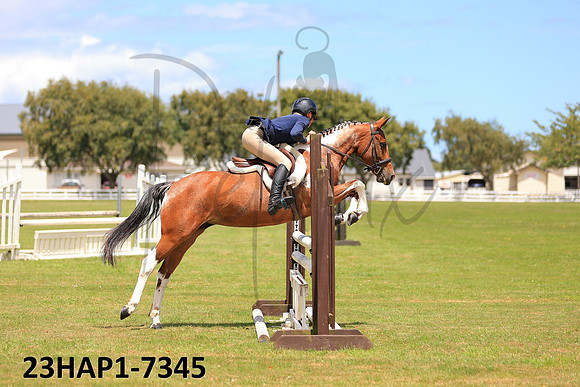 23HAP1-7345