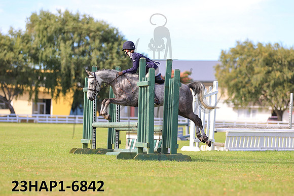 23HAP1-6842