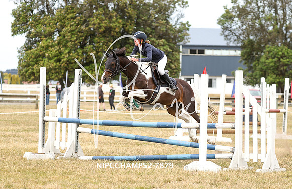 NIPCCHAMPS2-7879