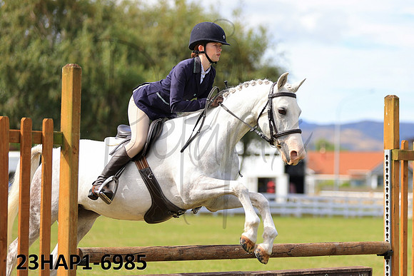 23HAP1-6985