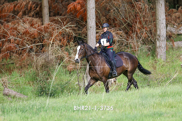 BHR21-1-3735