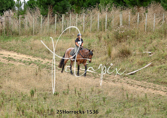 25Horrocks-1536