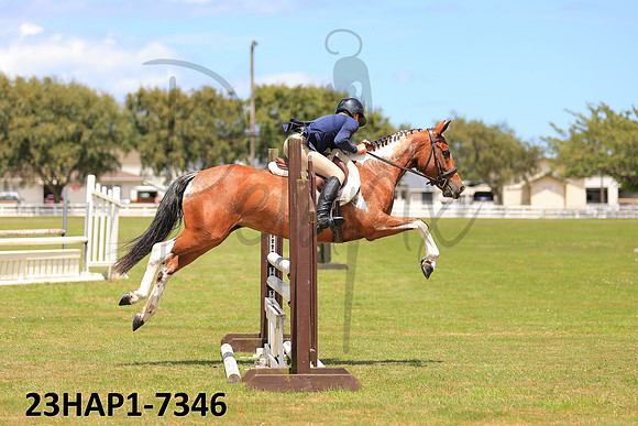 23HAP1-7346