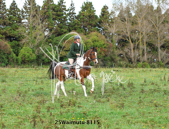 25Waimutu-8115