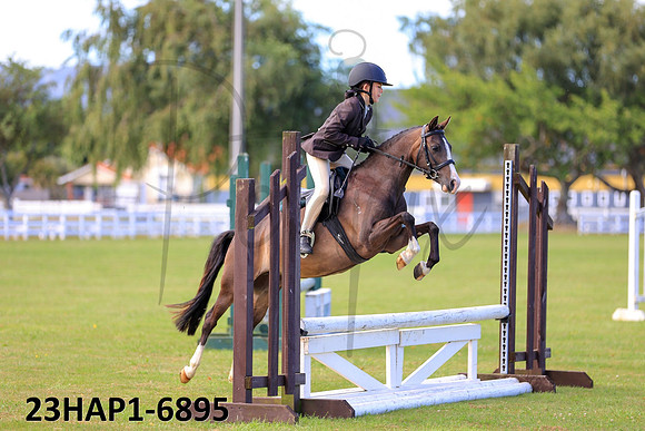 23HAP1-6895