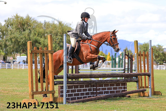 23HAP1-7151