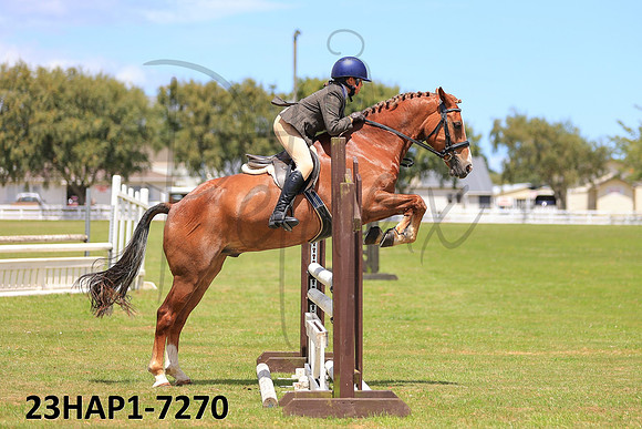 23HAP1-7270