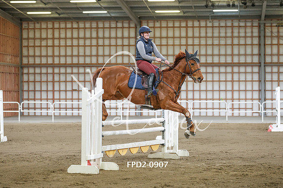 FPD2-0907