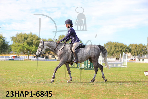23HAP1-6845