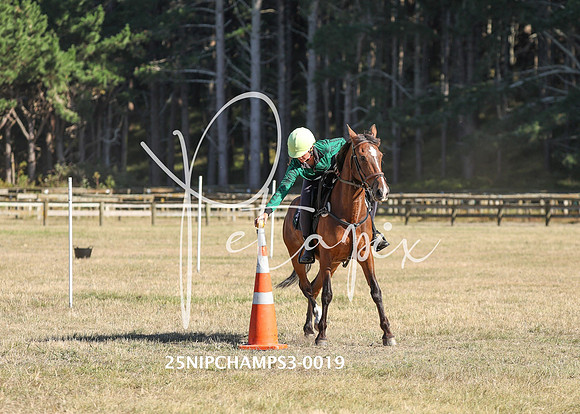 25NIPCHAMPS3-0019