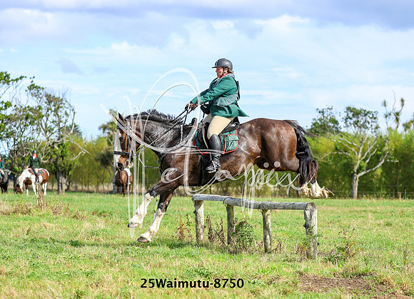 25Waimutu-8750