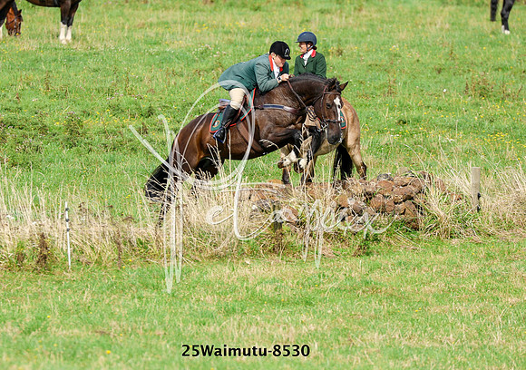 25Waimutu-8530
