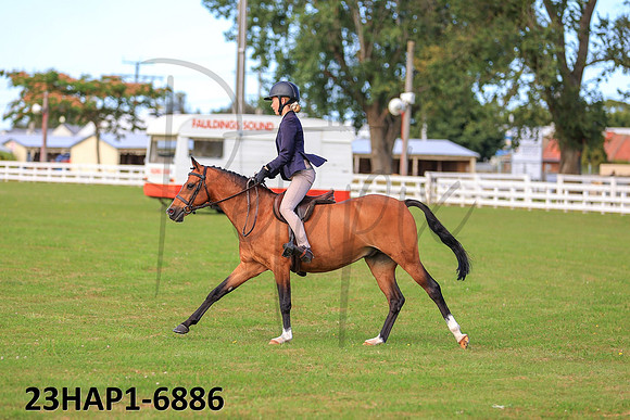 23HAP1-6886