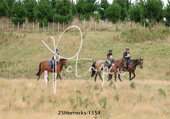 25Horrocks-1554