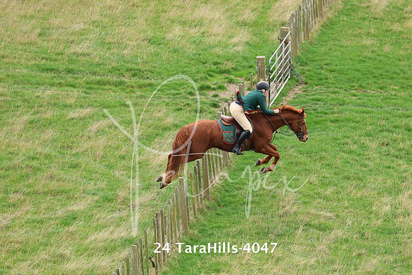 24 TaraHills-4047