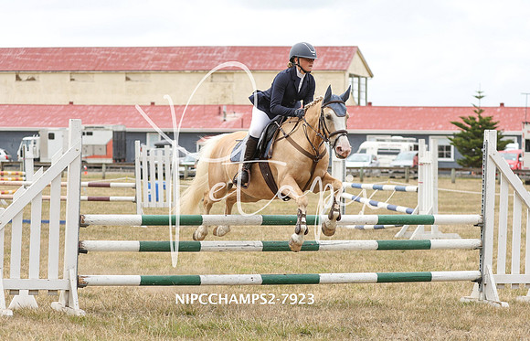 NIPCCHAMPS2-7923