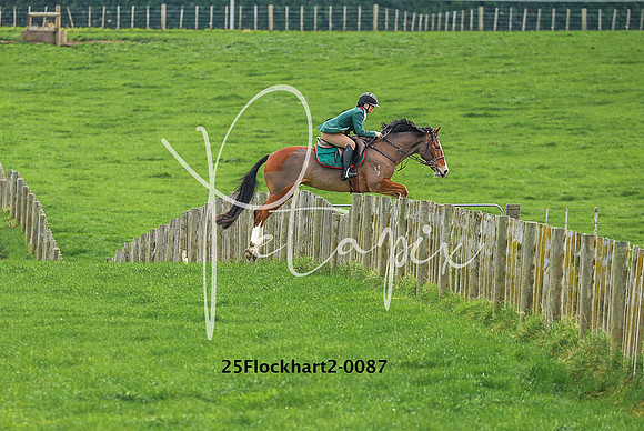 25Flockhart2-0087