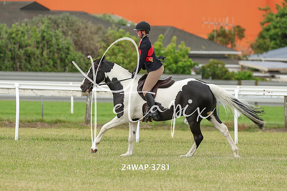 24WAP-3781