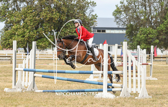 NIPCCHAMPS2-7844