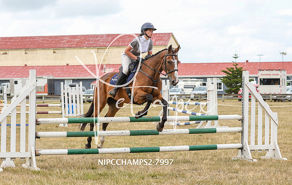 NIPCCHAMPS2-7997