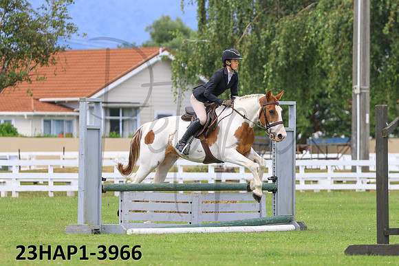 23HAP1-3966