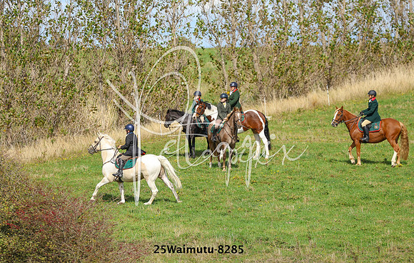 25Waimutu-8285