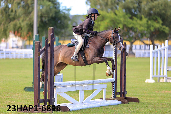 23HAP1-6896