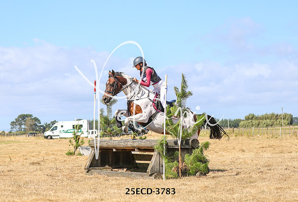 25ECD-3783