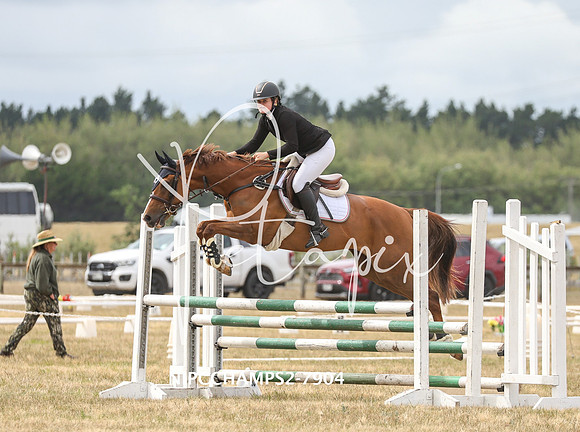 NIPCCHAMPS2-7904