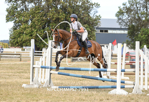NIPCCHAMPS2-7993
