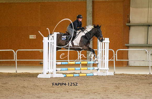 FAPIP4-1252