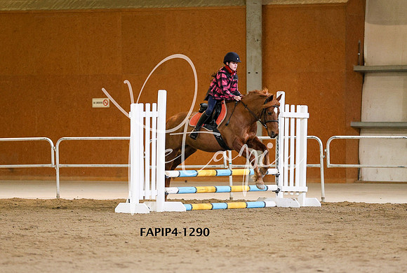 FAPIP4-1290