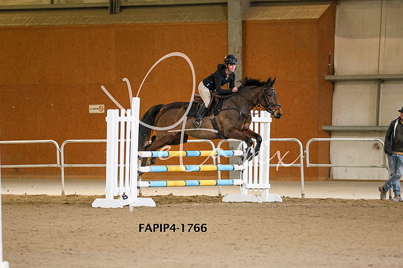 FAPIP4-1766