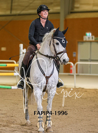 FAPIP4-1996