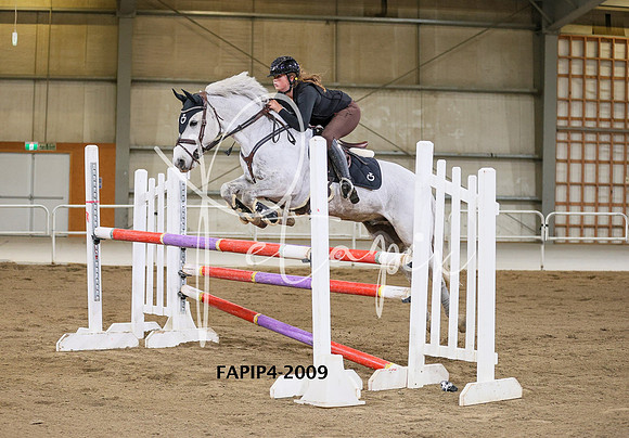 FAPIP4-2009
