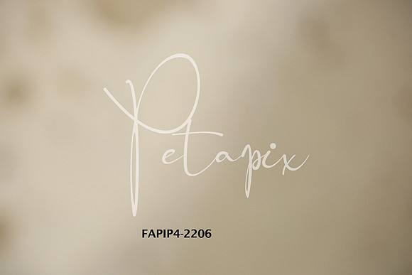 FAPIP4-2206