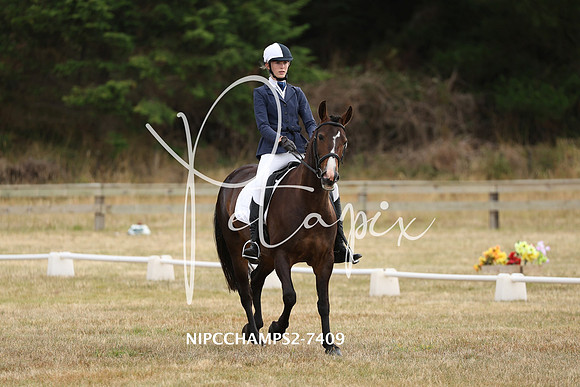 NIPCCHAMPS2-7409