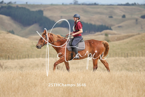25THChamps-3646