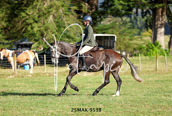 25MAK-9538