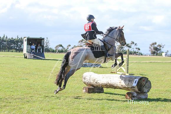 HT21-0273