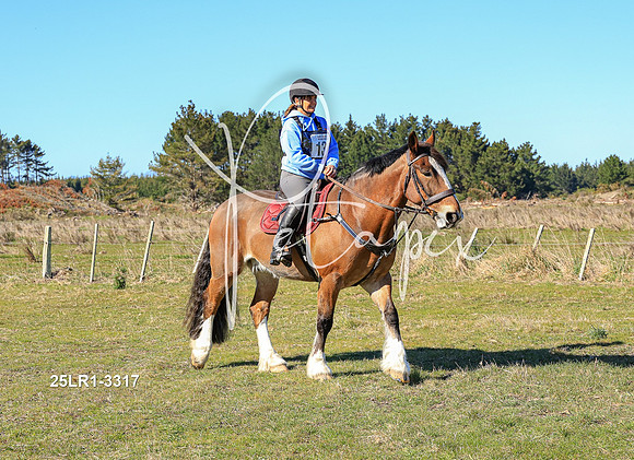 25LR1-3317