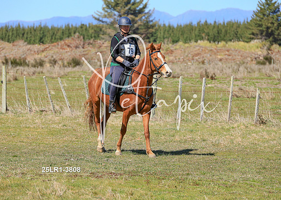 25LR1-3808