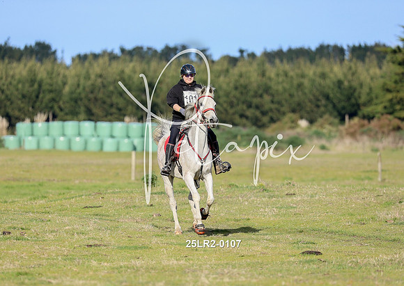 25LR2-0107