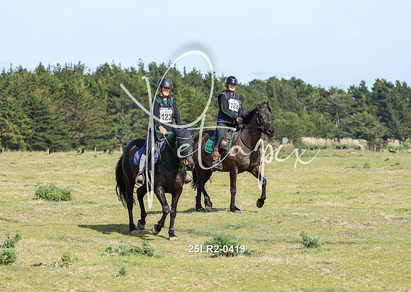 25LR2-0419