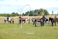 25LR2-0482
