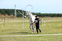 25LR2-0494