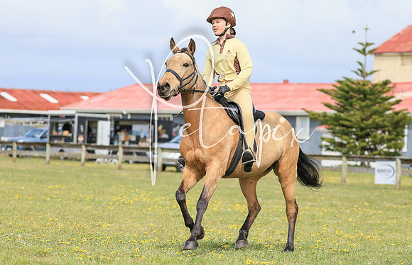 25PCCHAMPS-5975