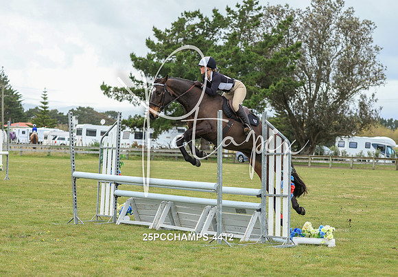 25PCCHAMPS-4412