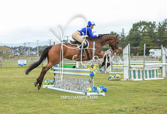 25PCCHAMPS-4595