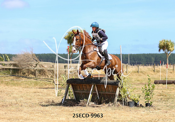 25ECD-9963